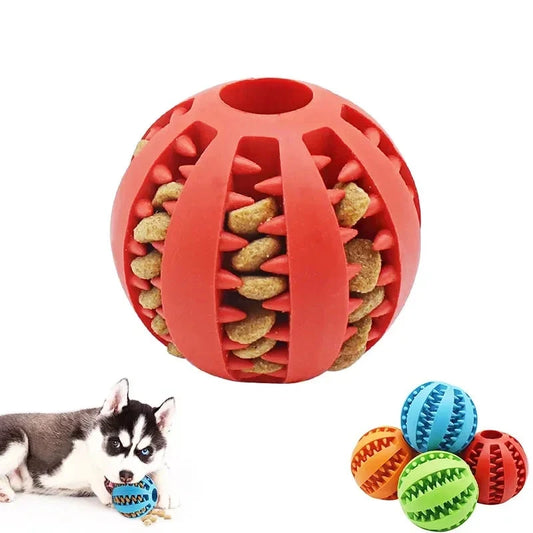 Chew Ball Dog Feeder