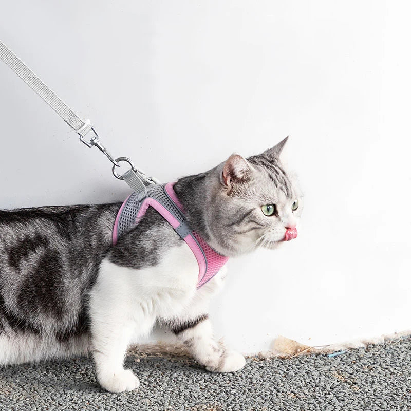 Cat Harness Leash Set