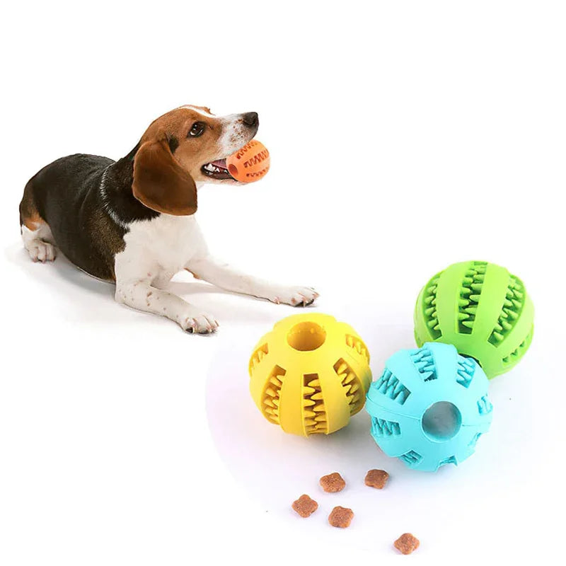 Chew Ball Dog Feeder